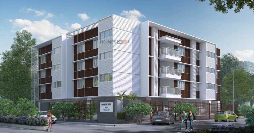 Mahabaleshwara Classique Temple Tree Cover image